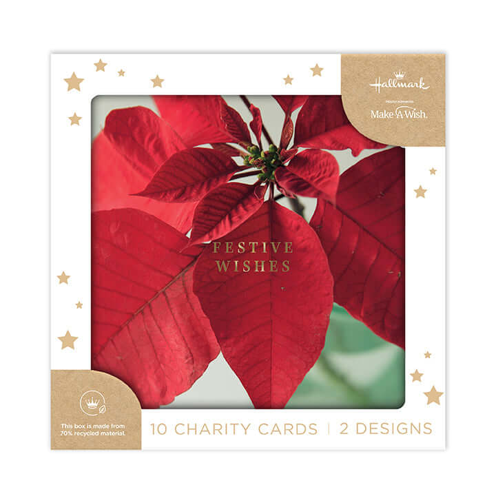 Hallmark Boxed Christmas Cards 10 Pack - Wonderful Time featuring red poinsettia design with gold text 'Festive Wishes', boxed with two designs.