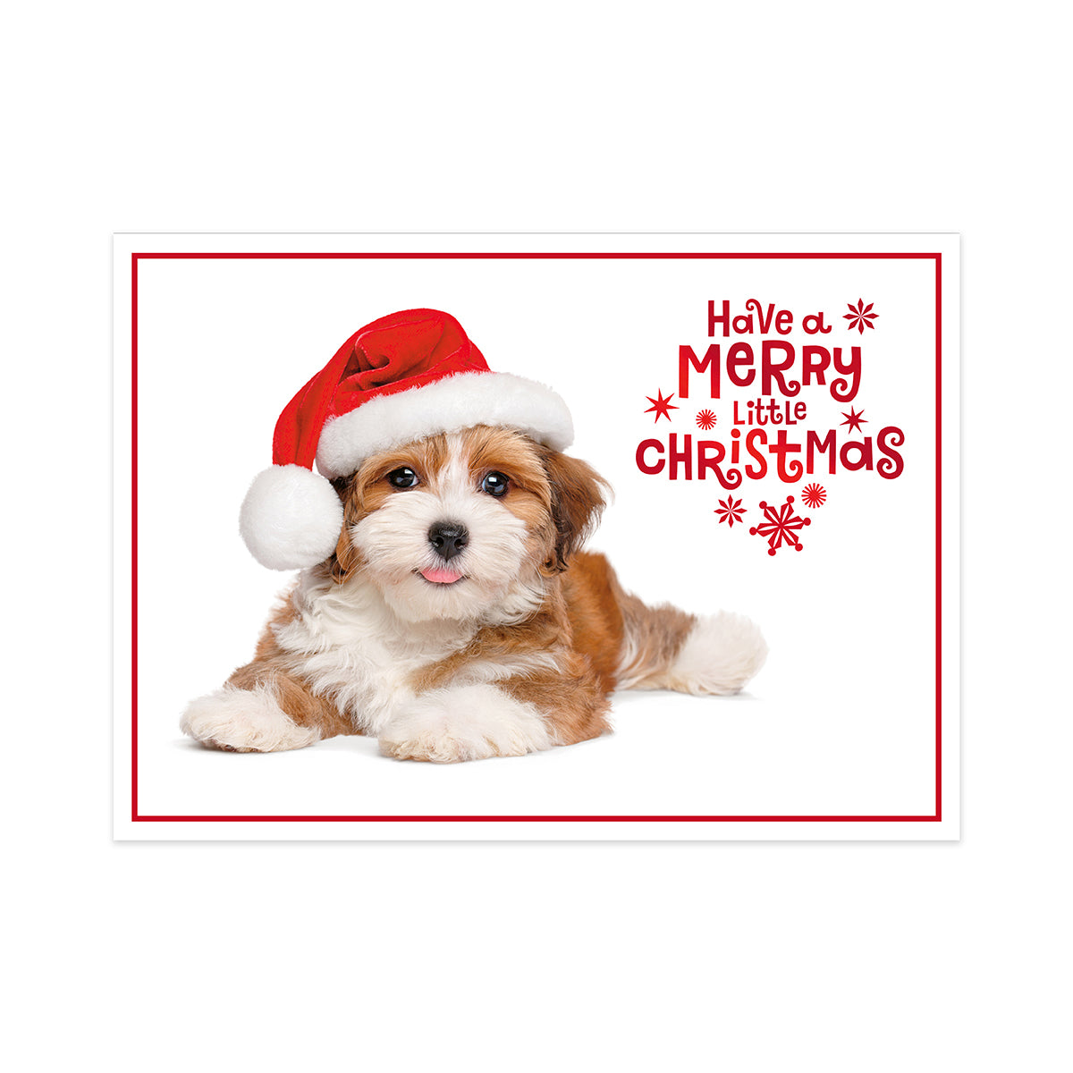 Hallmark Boxed Christmas Cards 10 Pack - Festive Puppy featuring a cute puppy in a Santa hat with 'Have a Merry Little Christmas' text.