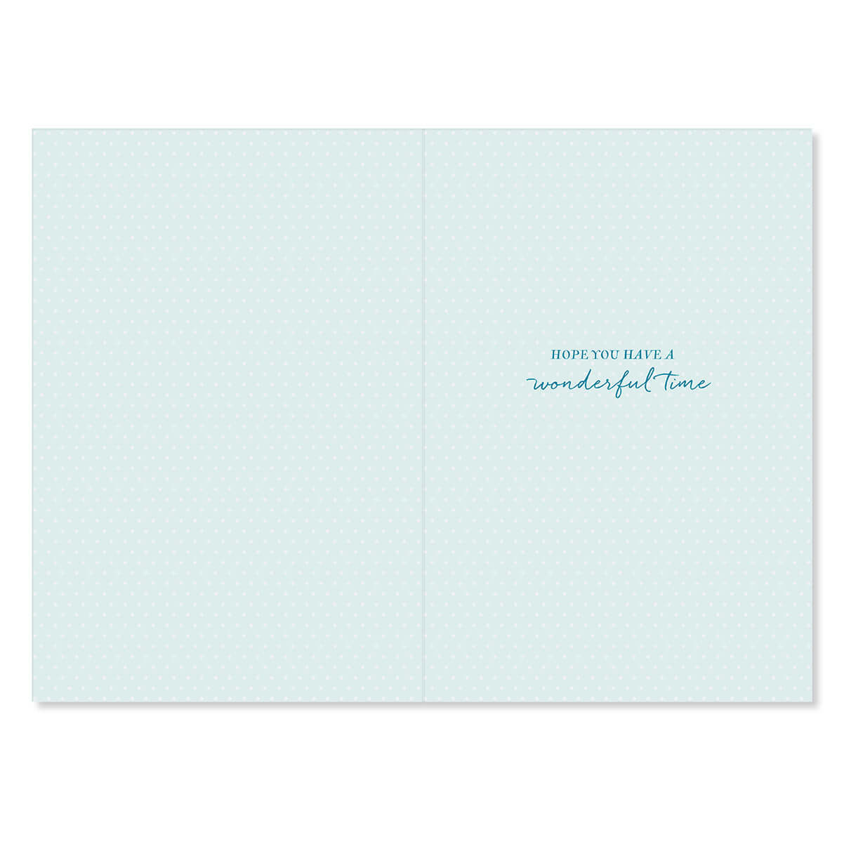 Light blue card with text 'Hope you have a wonderful time' on a white background