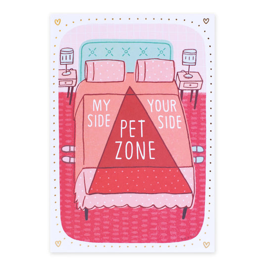 Hallmark Shoebox Valentine's Day Card - My Side, Pet Zone, Your Side with illustration of a bed and pet zone layout in vibrant colours.
