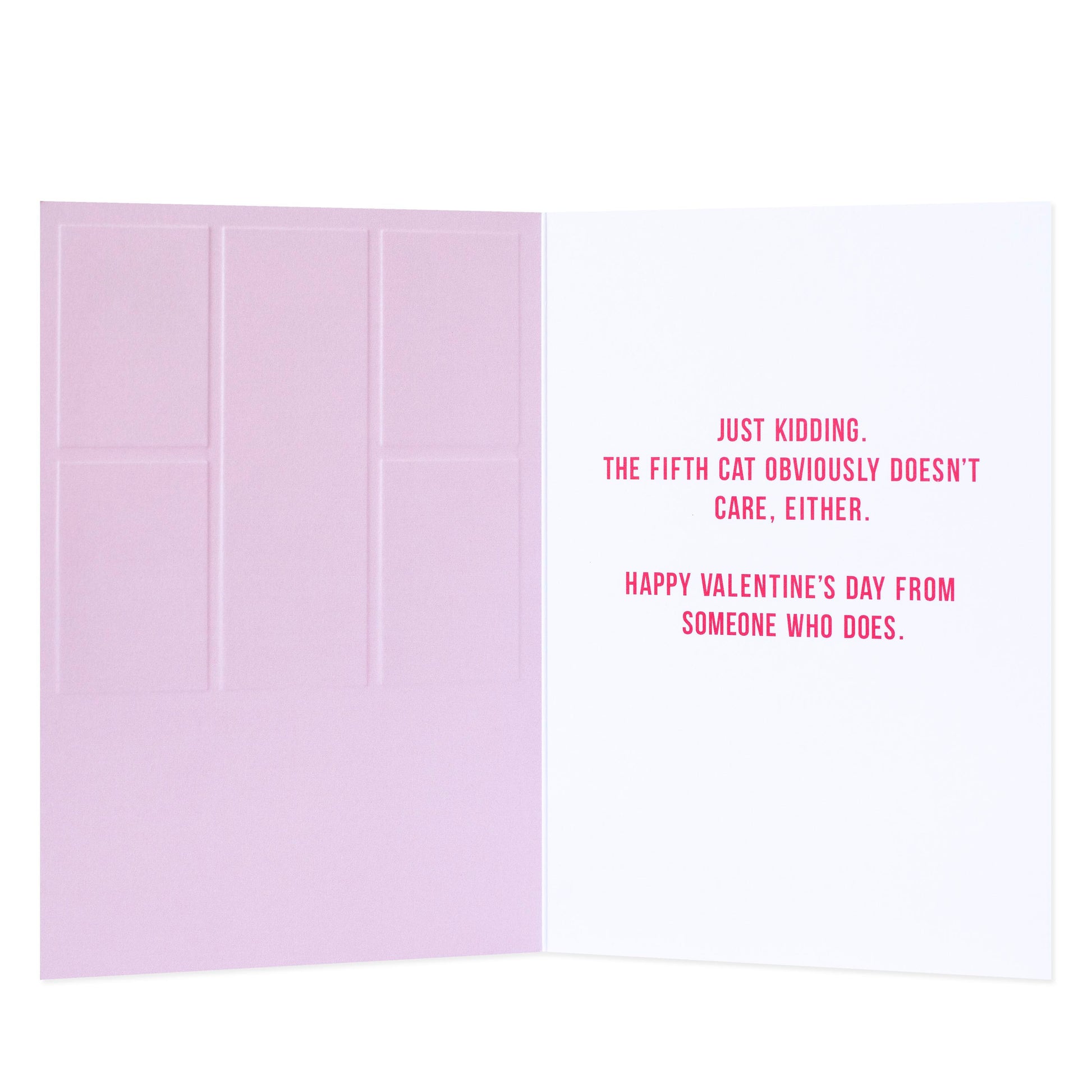 Hallmark Shoebox Valentine's Day Card - 4 Out Of 5 Cats Don't Care It's Valentine's Day with humorous inside message in pink text.