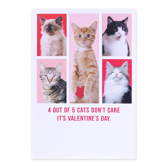 Hallmark Shoebox Valentine's Day Card - 4 Out Of 5 Cats Don't Care It's Valentine's Day with a collage of playful cats on a bright background.