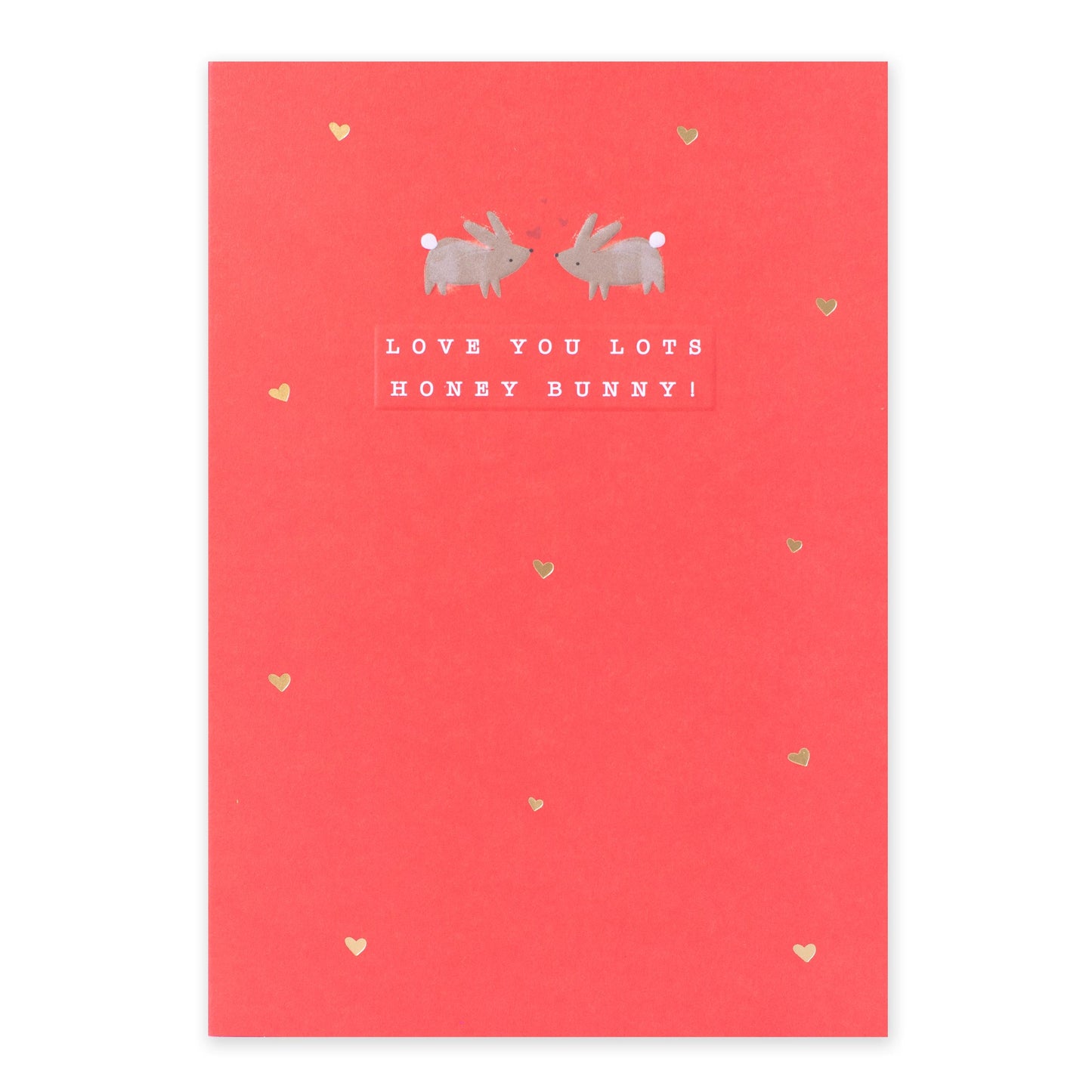 Hallmark Valentine's Day Card - Love You Lots Honey Bunny!