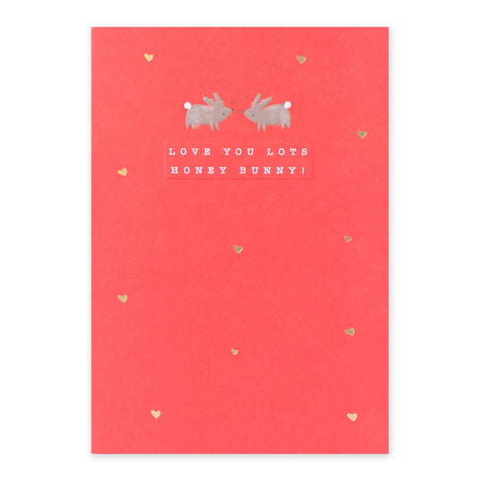 Hallmark Valentine's Day Card - Love You Lots Honey Bunny!