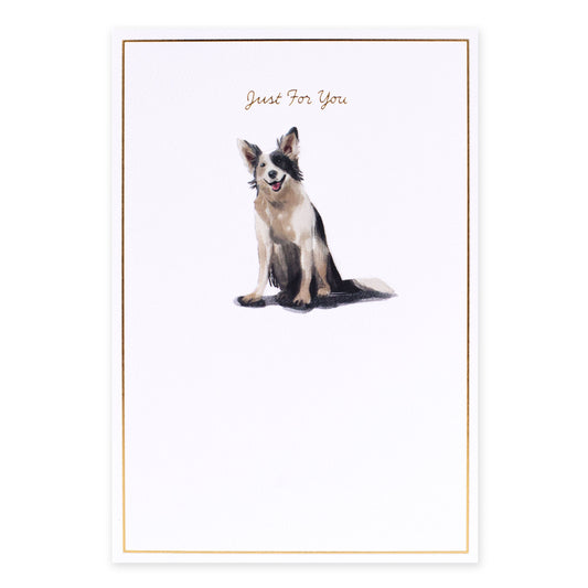 Hallmark Whimsical Whiskers Just For You Greeting Card - Border Collie Dog