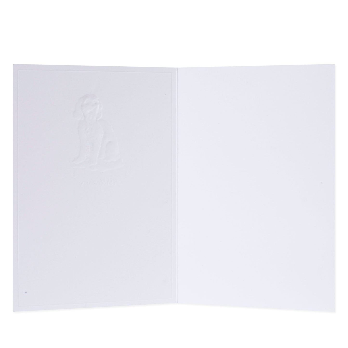 Hallmark Whimsical Whiskers With Love Greeting Card - Maltese Dog