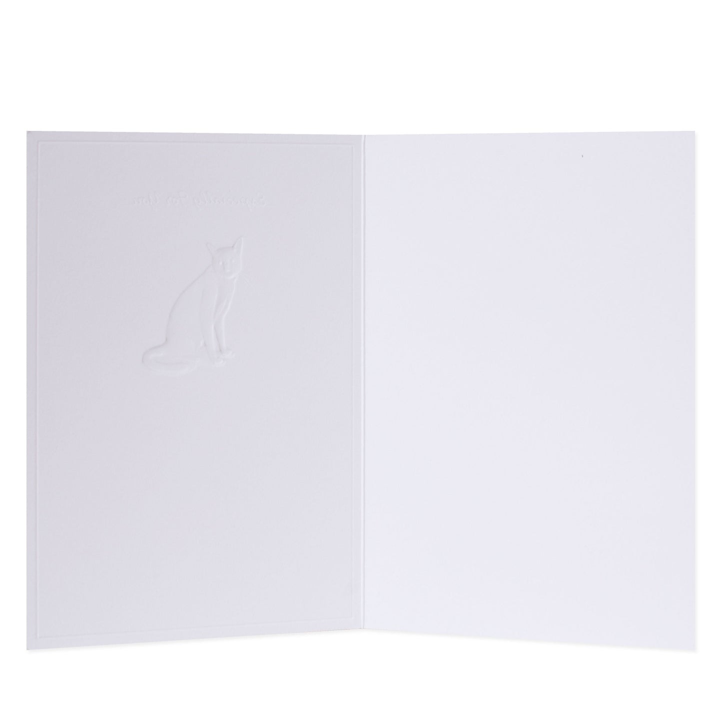 Hallmark Whimsical Whiskers Especially For You Greeting Card - Siamese Cat