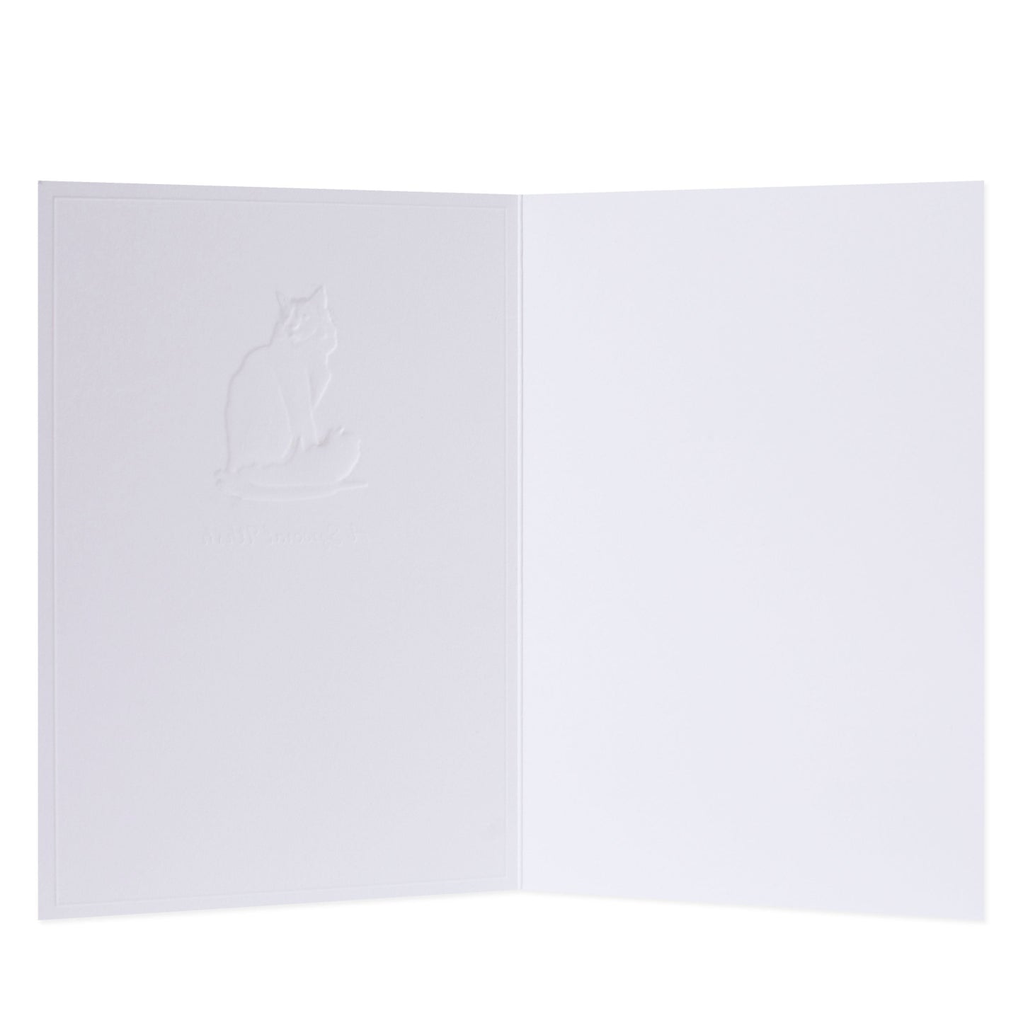 Hallmark Whimsical Whiskers A Special Wish Greeting Card - Rag Doll Cat