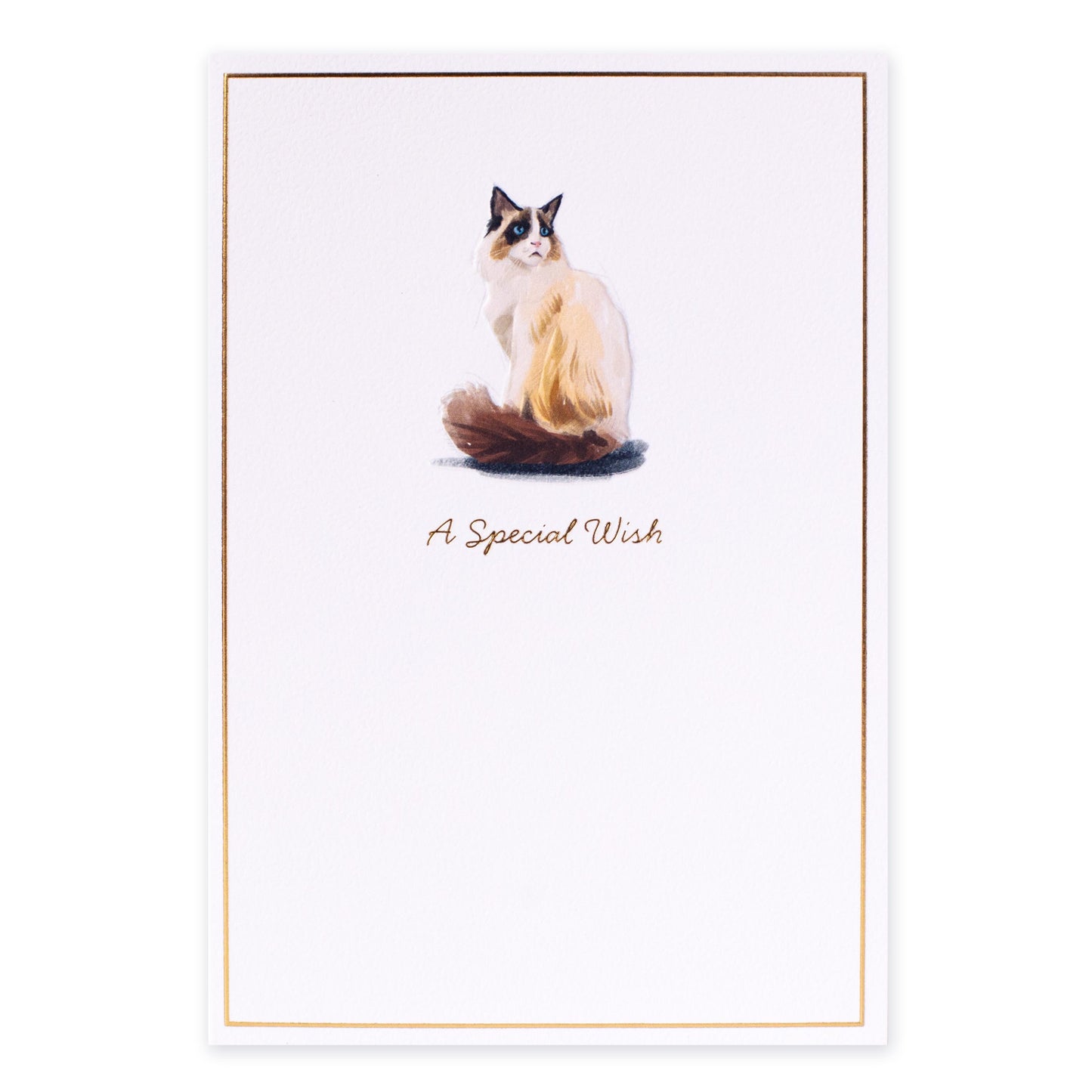 Hallmark Whimsical Whiskers A Special Wish Greeting Card - Rag Doll Cat