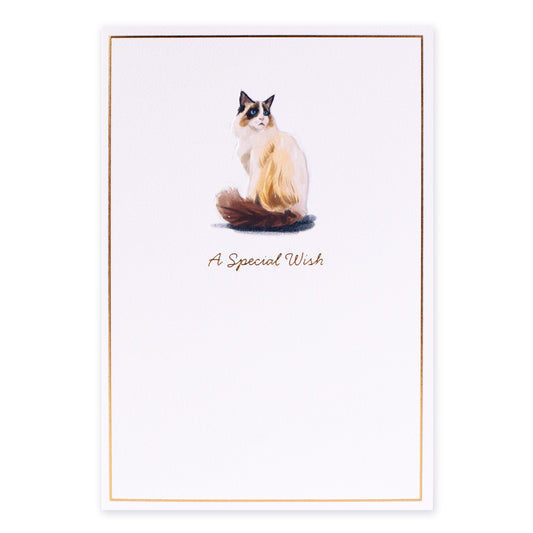 Hallmark Whimsical Whiskers A Special Wish Greeting Card - Rag Doll Cat