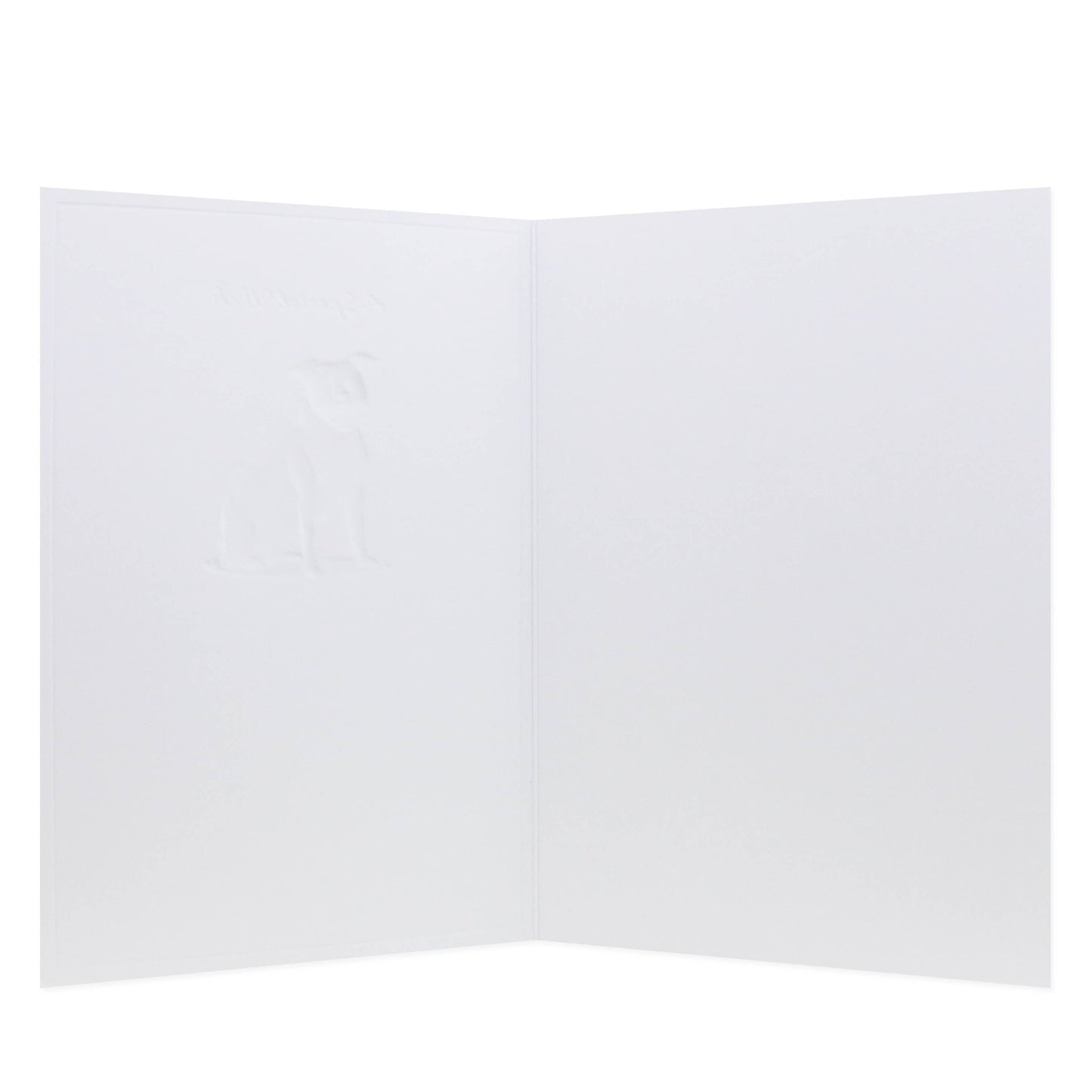 Hallmark Whimsical Whiskers A Special Wish Greeting Card - Staffy Dog