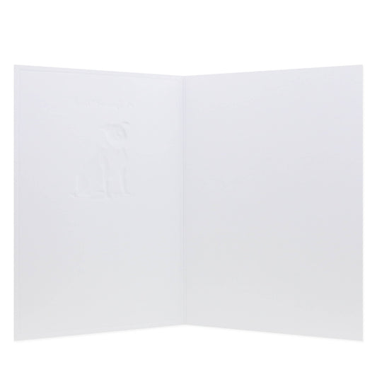 Hallmark Whimsical Whiskers A Special Wish Greeting Card - Staffy Dog