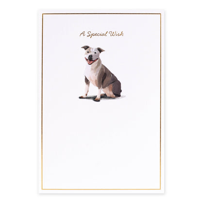 Hallmark Whimsical Whiskers A Special Wish Greeting Card - Staffy Dog