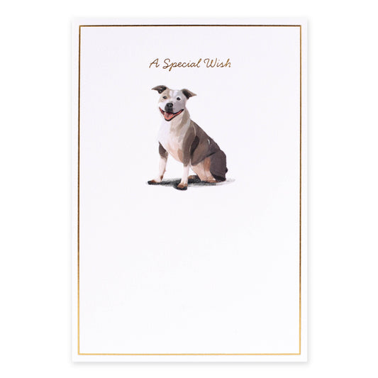 Hallmark Whimsical Whiskers A Special Wish Greeting Card - Staffy Dog