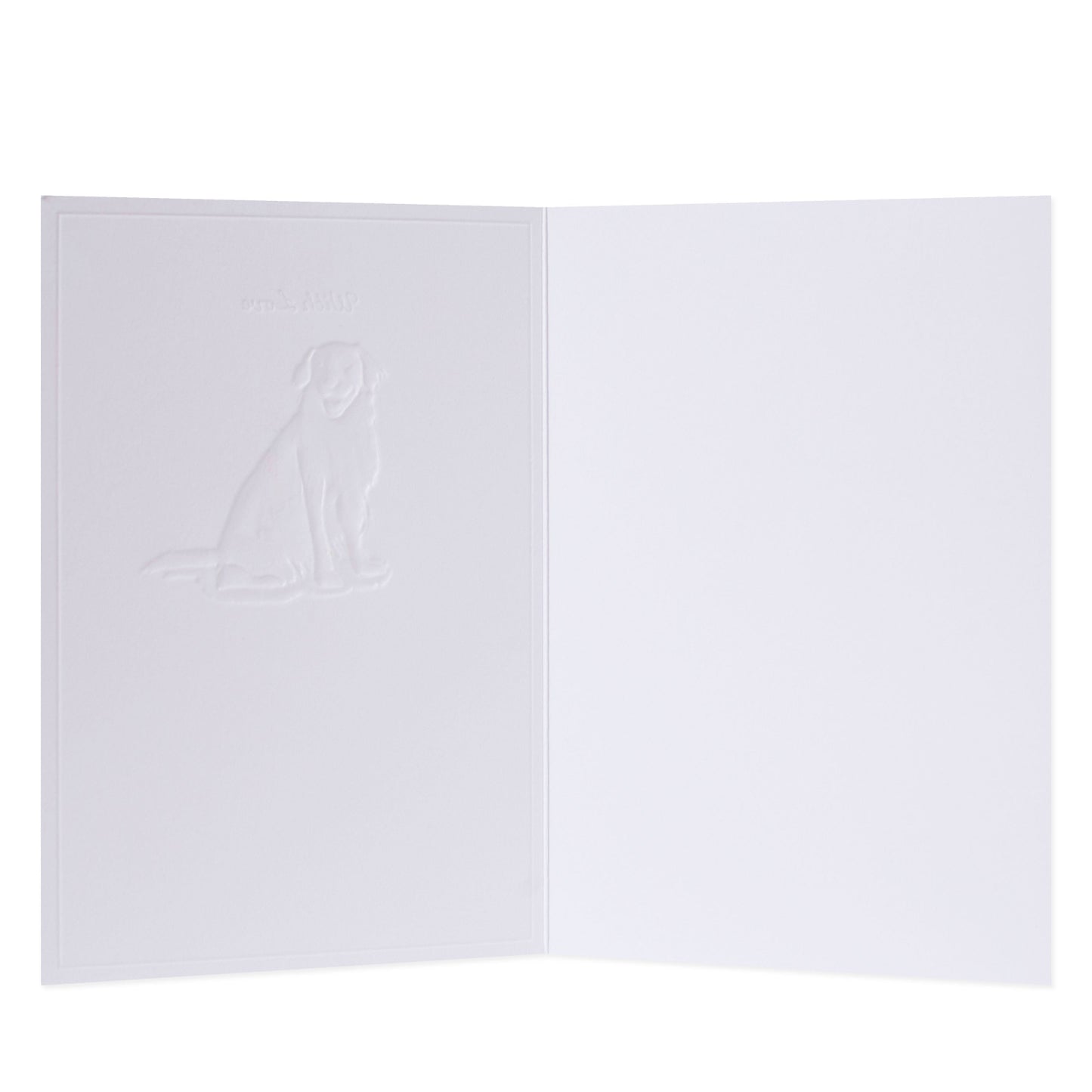 Hallmark Whimsical Whiskers With Love Greeting Card - Golden Retriever Dog