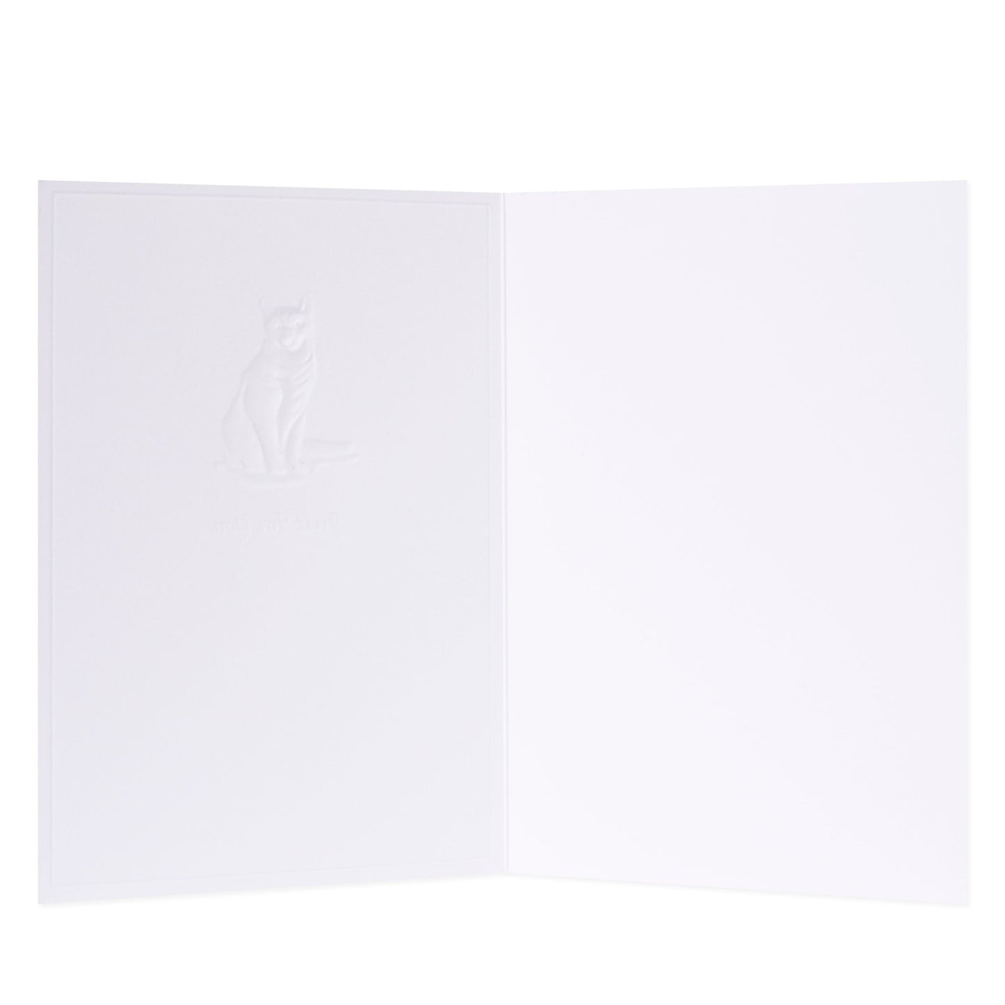 Hallmark Whimsical Whiskers Just For You Greeting Card - Shorthair Cat