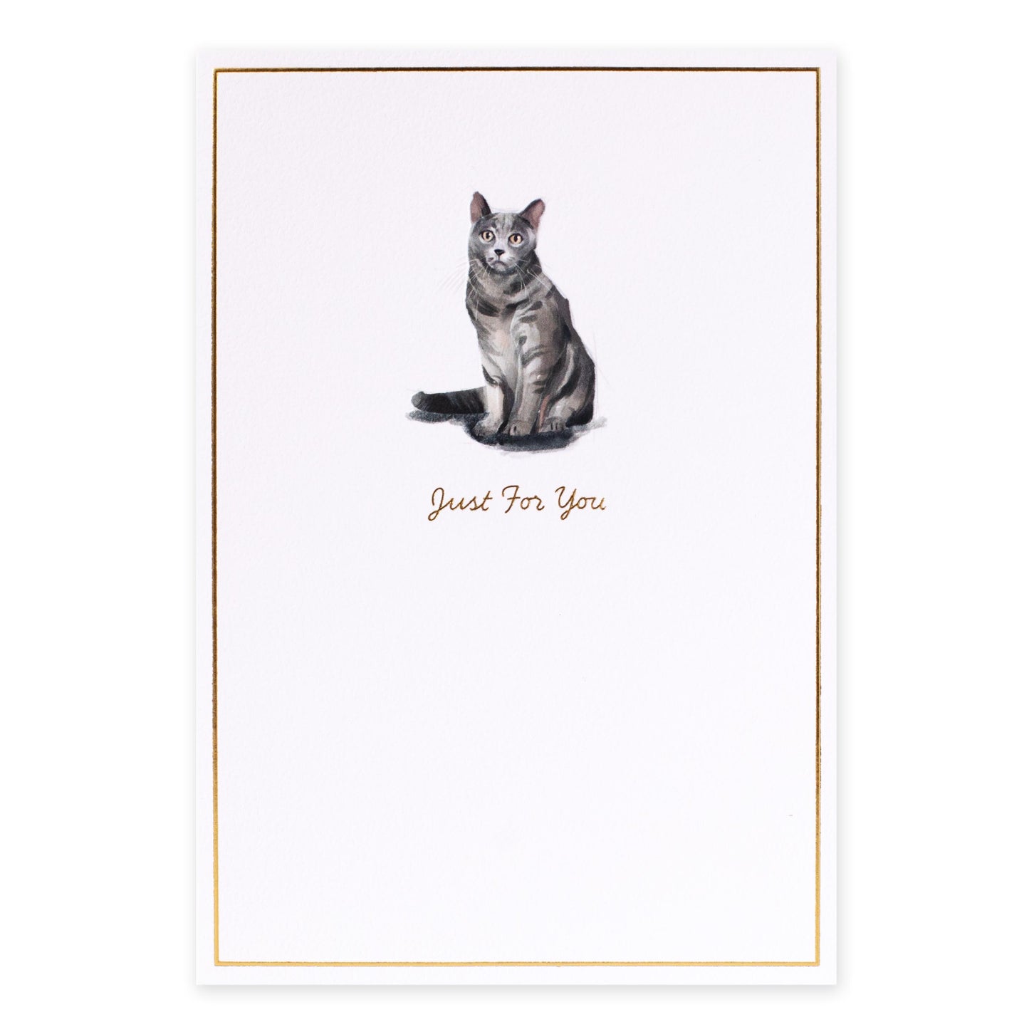 Hallmark Whimsical Whiskers Just For You Greeting Card - Shorthair Cat