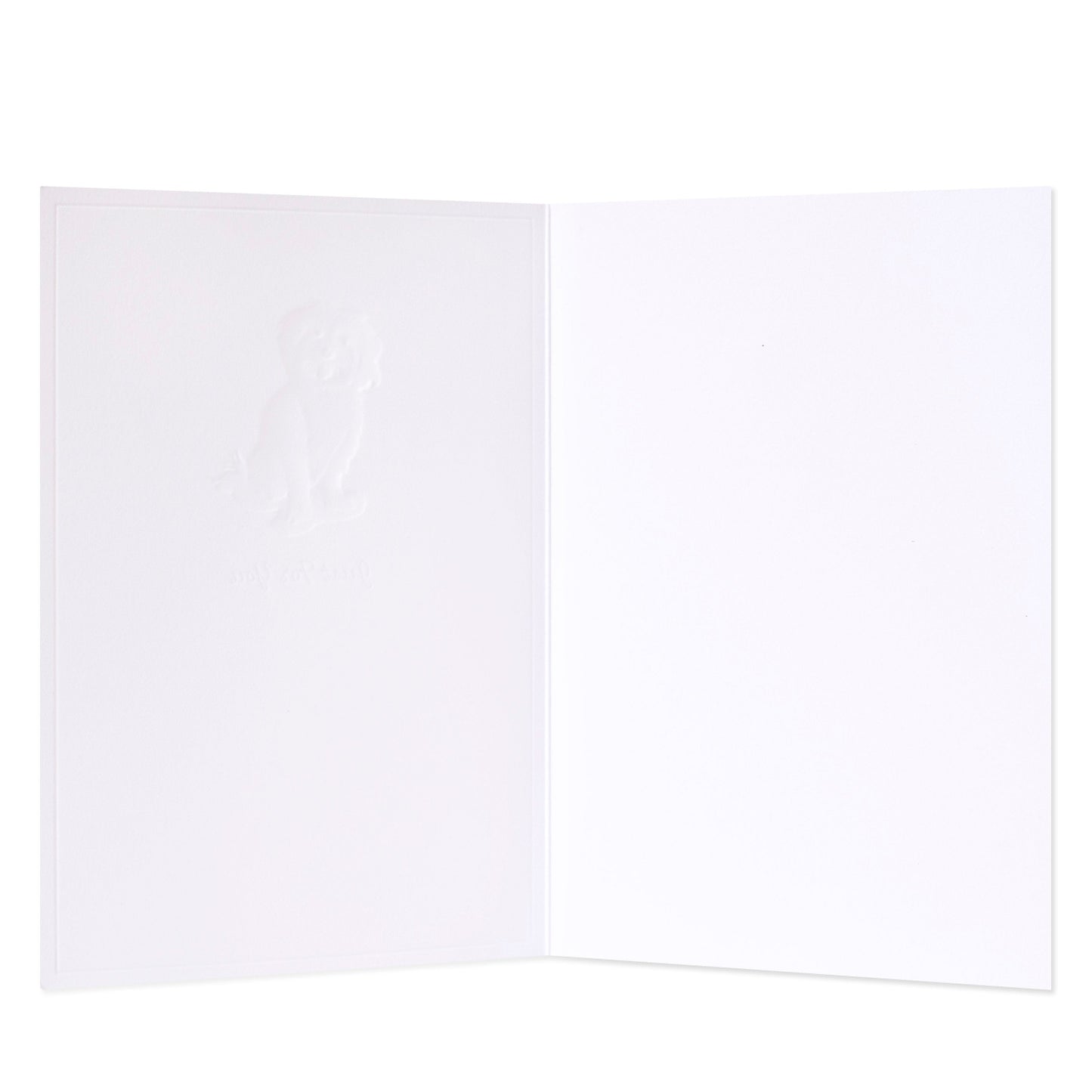 Hallmark Whimsical Whiskers Just For You Greeting Card - Cavoodle Dog