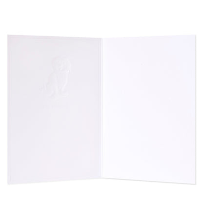 Hallmark Whimsical Whiskers Just For You Greeting Card - Cavoodle Dog