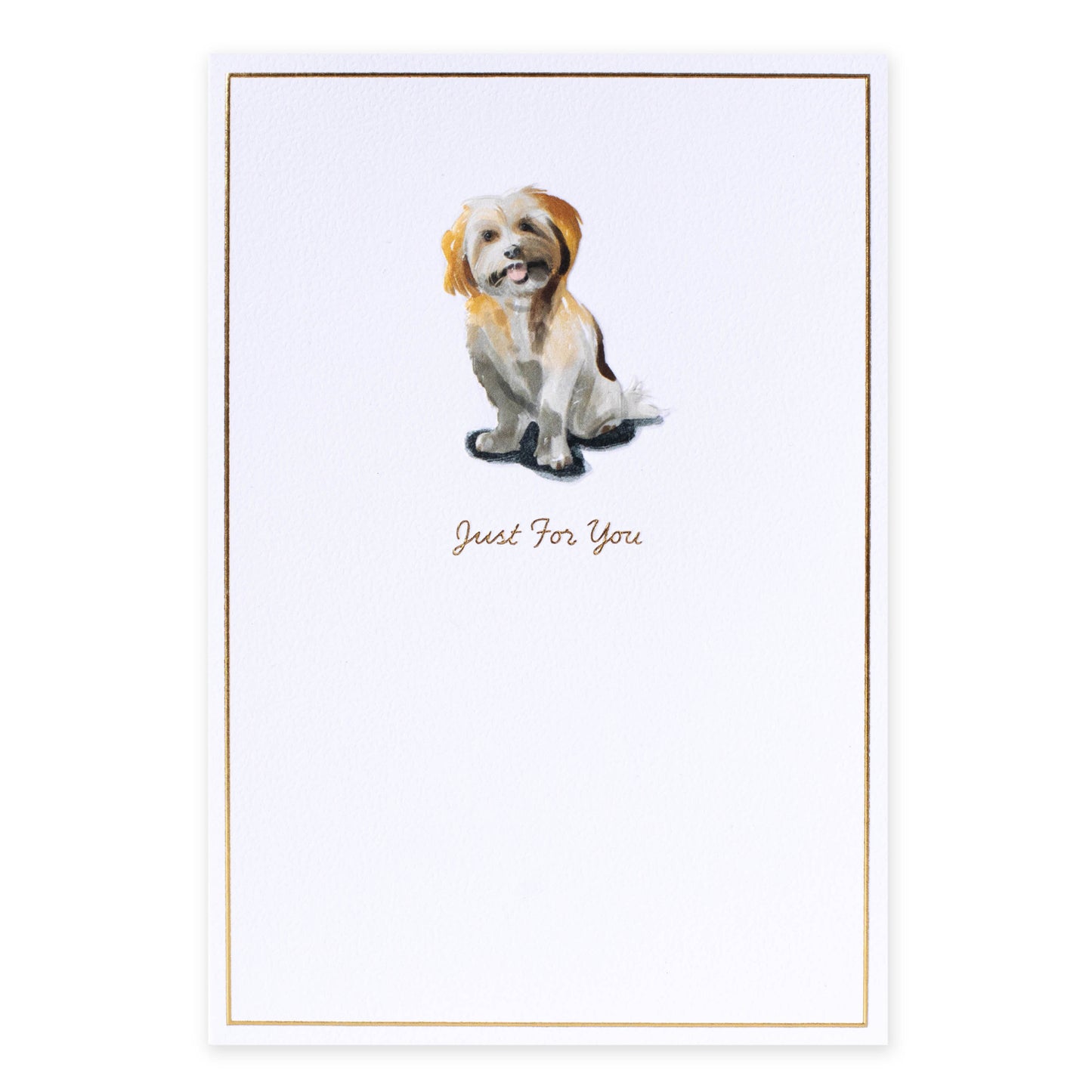 Hallmark Whimsical Whiskers Just For You Greeting Card - Cavoodle Dog