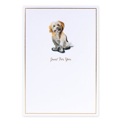 Hallmark Whimsical Whiskers Just For You Greeting Card - Cavoodle Dog