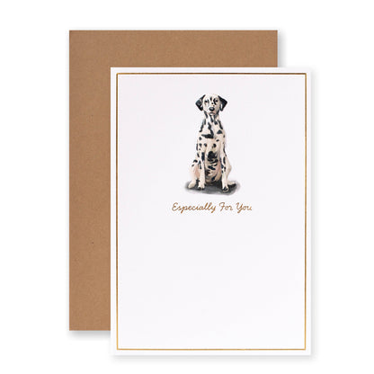 Hallmark Whimsical Whiskers Especially For You Greeting Card - Dalmatian Dog