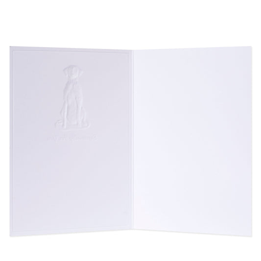 Hallmark Whimsical Whiskers Especially For You Greeting Card - Dalmatian Dog