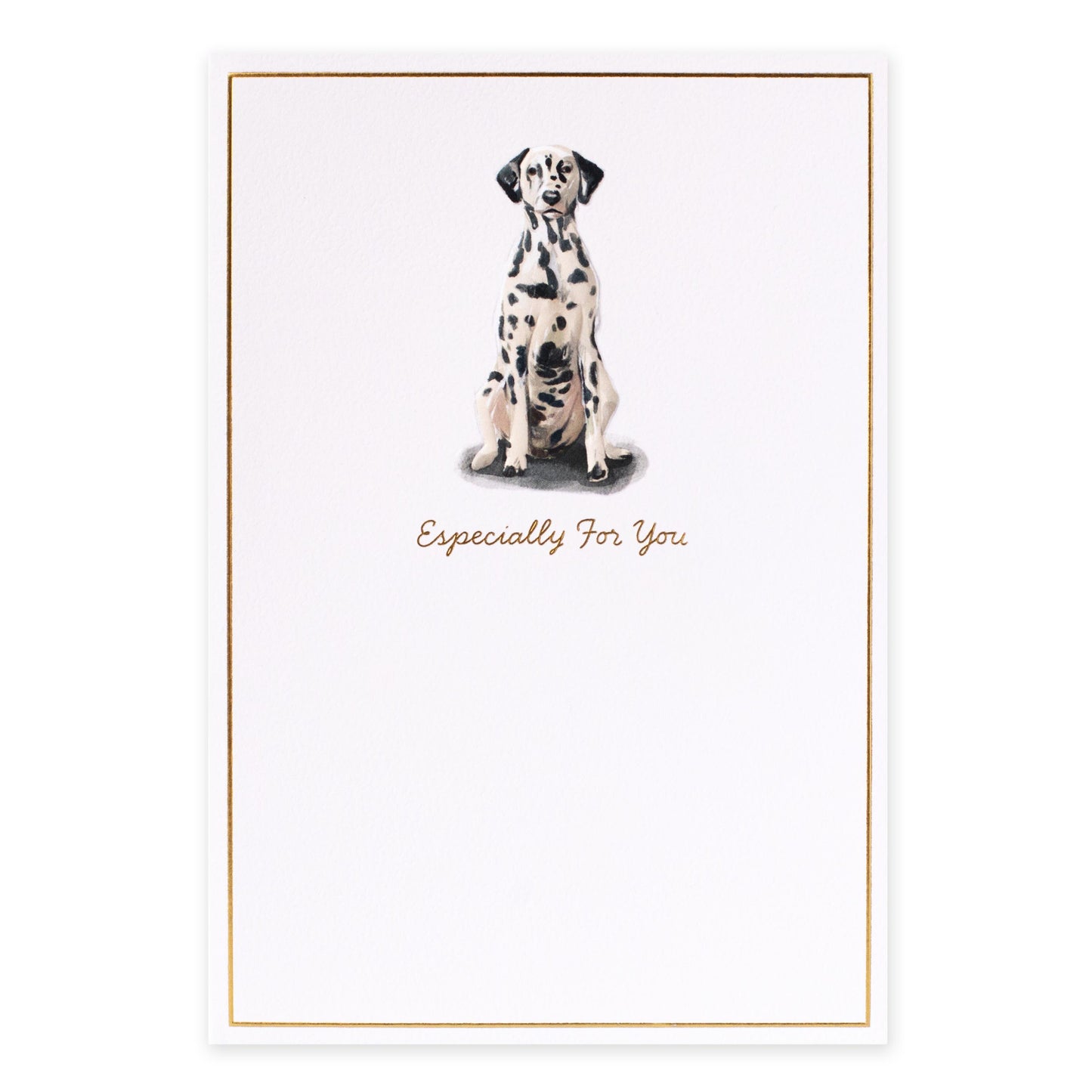 Hallmark Whimsical Whiskers Especially For You Greeting Card - Dalmatian Dog