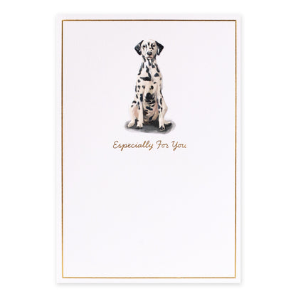 Hallmark Whimsical Whiskers Especially For You Greeting Card - Dalmatian Dog