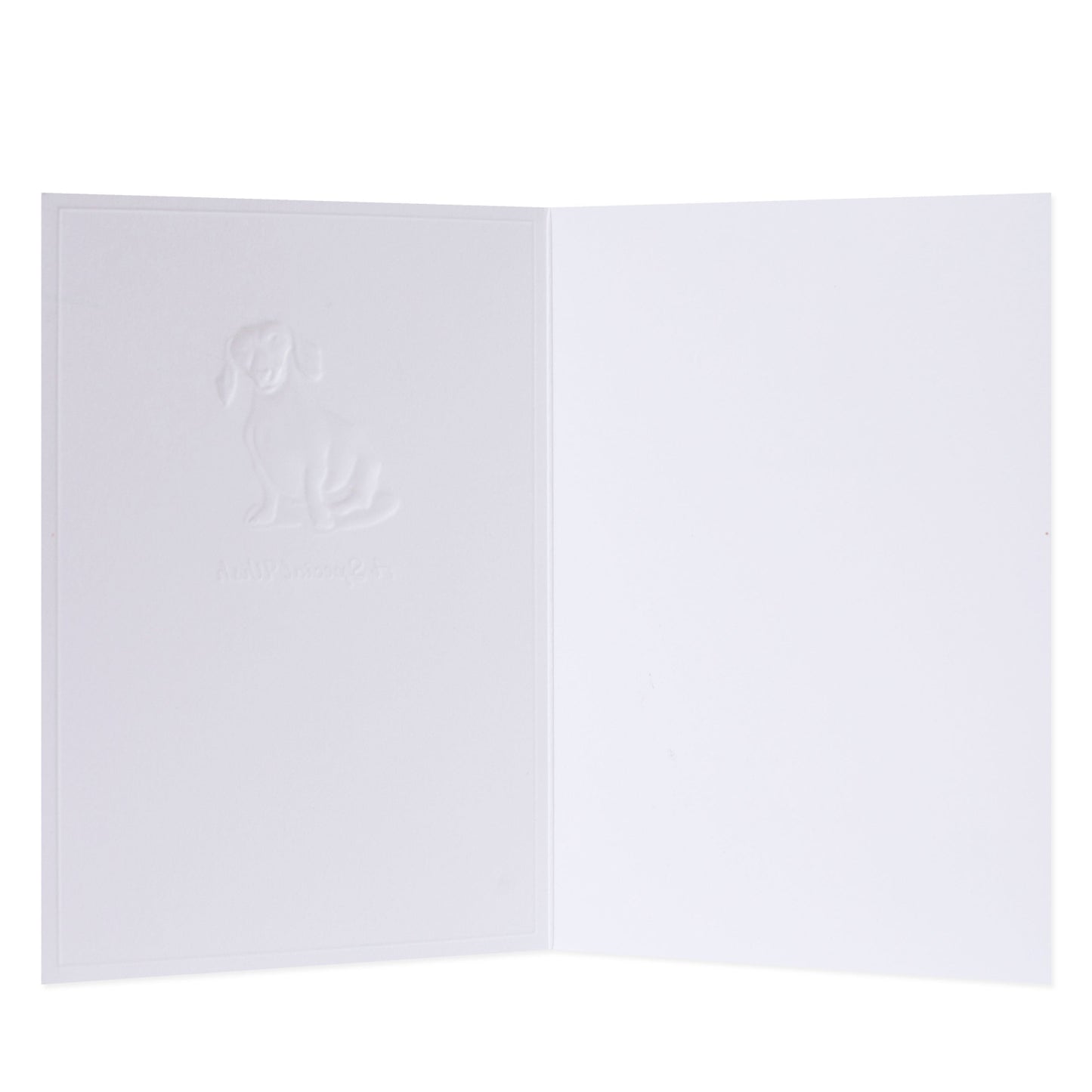 Hallmark Whimsical Whiskers A Special Wish Greeting Card - Daschund Dog