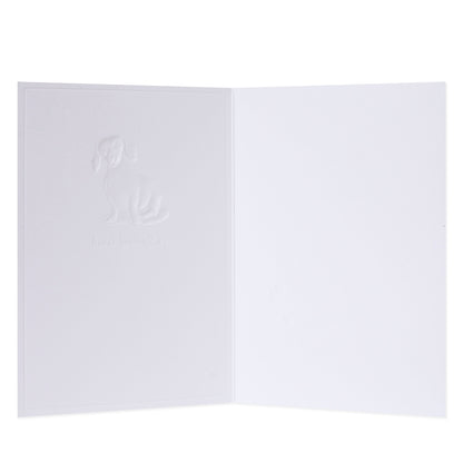 Hallmark Whimsical Whiskers A Special Wish Greeting Card - Daschund Dog