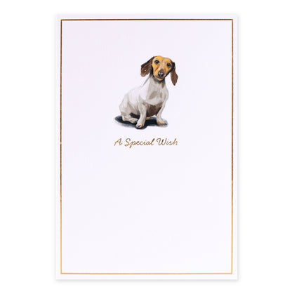 Hallmark Whimsical Whiskers A Special Wish Greeting Card - Daschund Dog