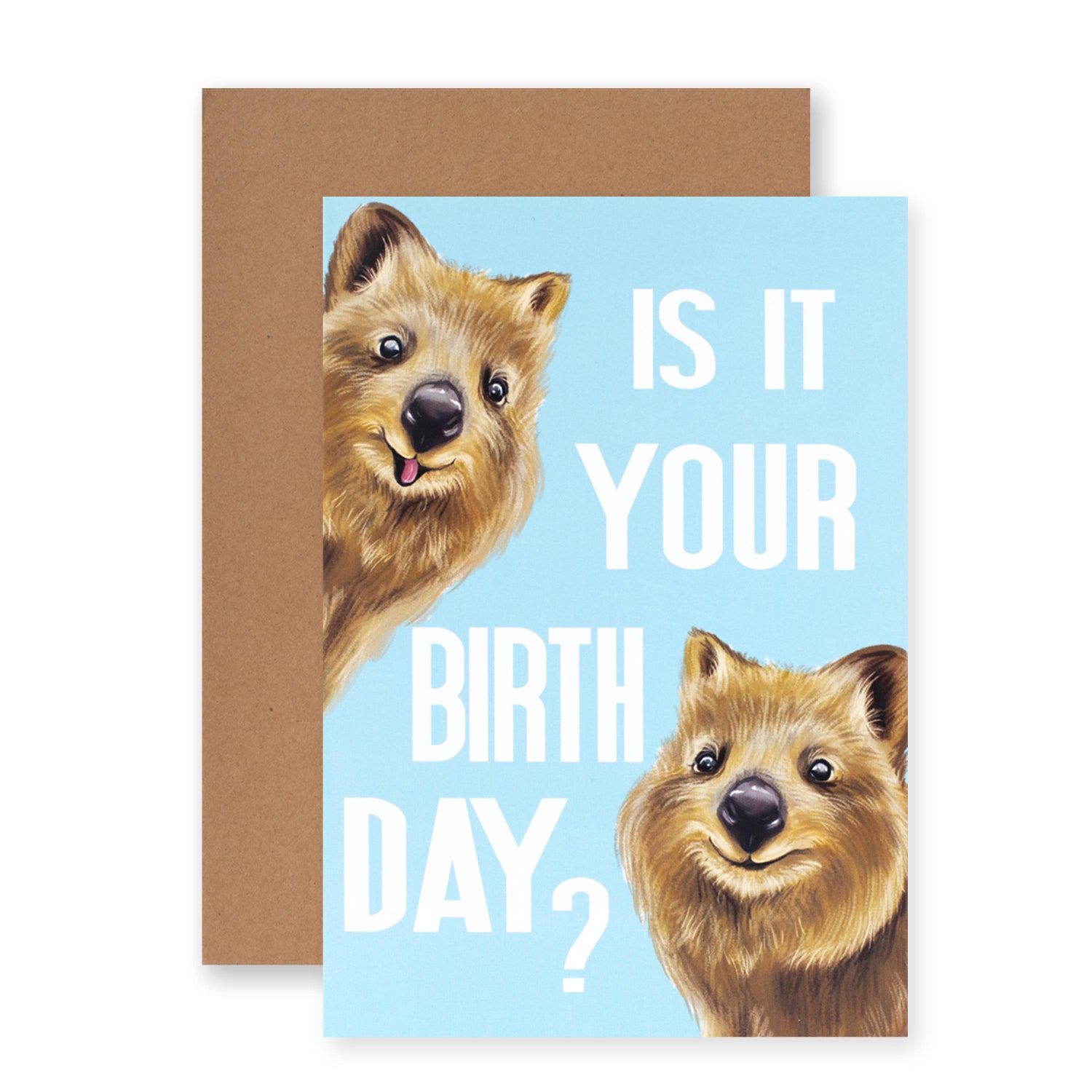 Hallmark Ozzy Oddities Birthday Card - Quokka Celebrations featuring two happy quokkas asking if it’s your birthday on a blue background.
