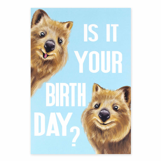 Hallmark Ozzy Oddities Birthday Card - Quokka Celebrations featuring two quokkas smiling with the text 'Is it your birthday?' in vibrant colours.