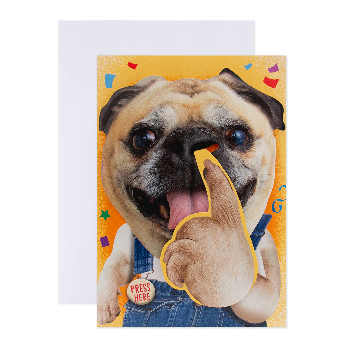 Hallmark Interactive Sound Card - Pickin' Dog