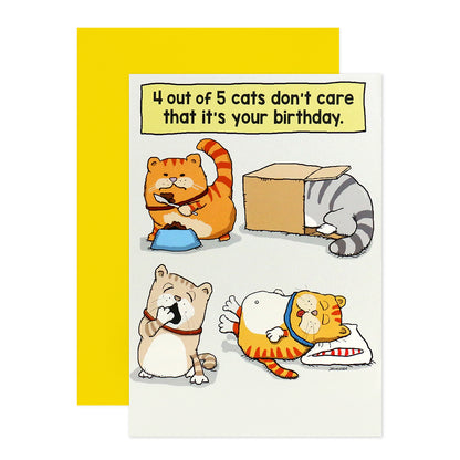 Hallmark Shoebox Birthday Card - 4 out of 5 Cats featuring illustrations of four cats with humorous birthday message on a flat lay view.
