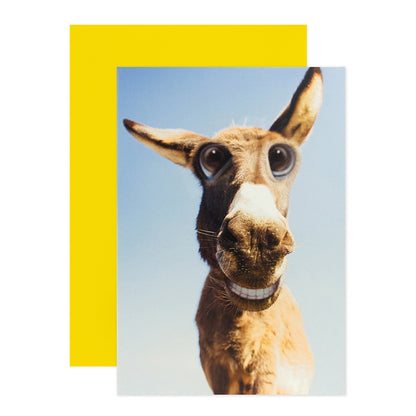 Hallmark Shoebox Birthday Card - Funny Donkey with a cartoon-eyed donkey image and coordinating yellow envelope design