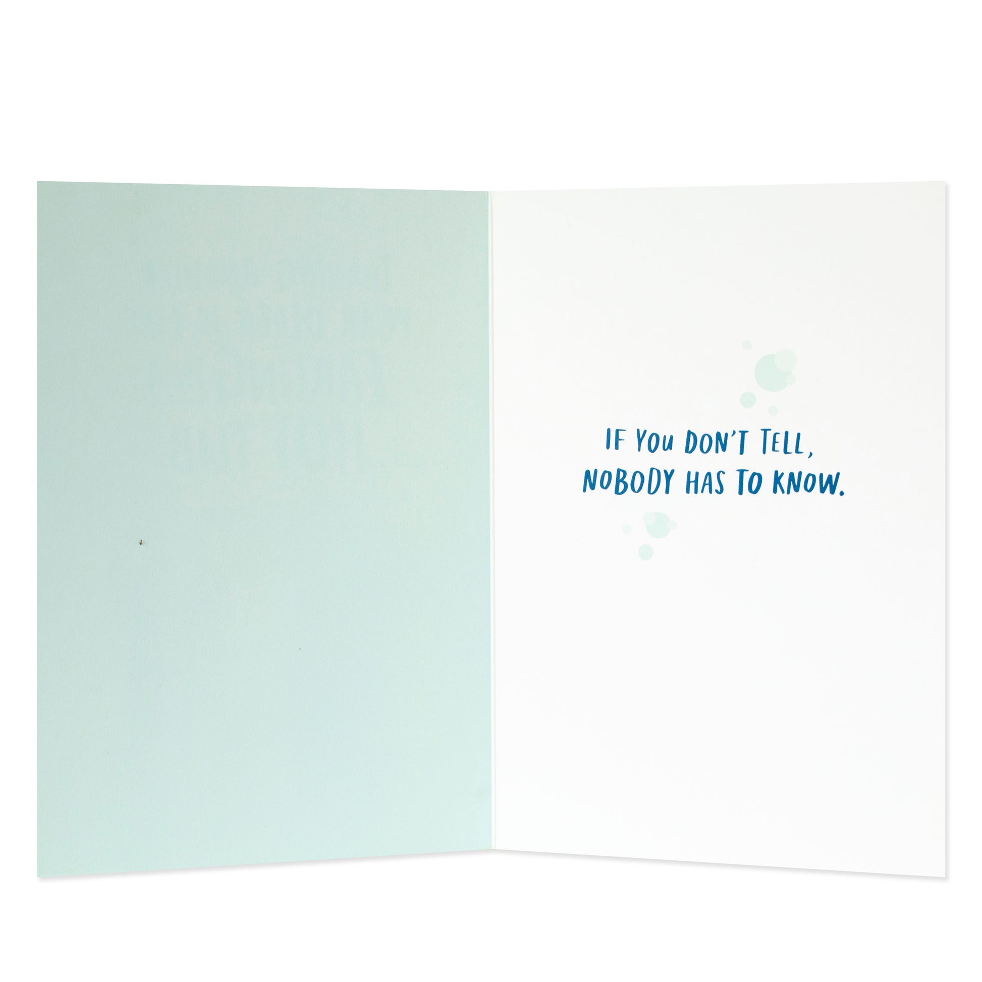 Hallmark Shoebox Birthday Card - Farting In A Hot Tub, interior view with humorous message and bubble illustrations.