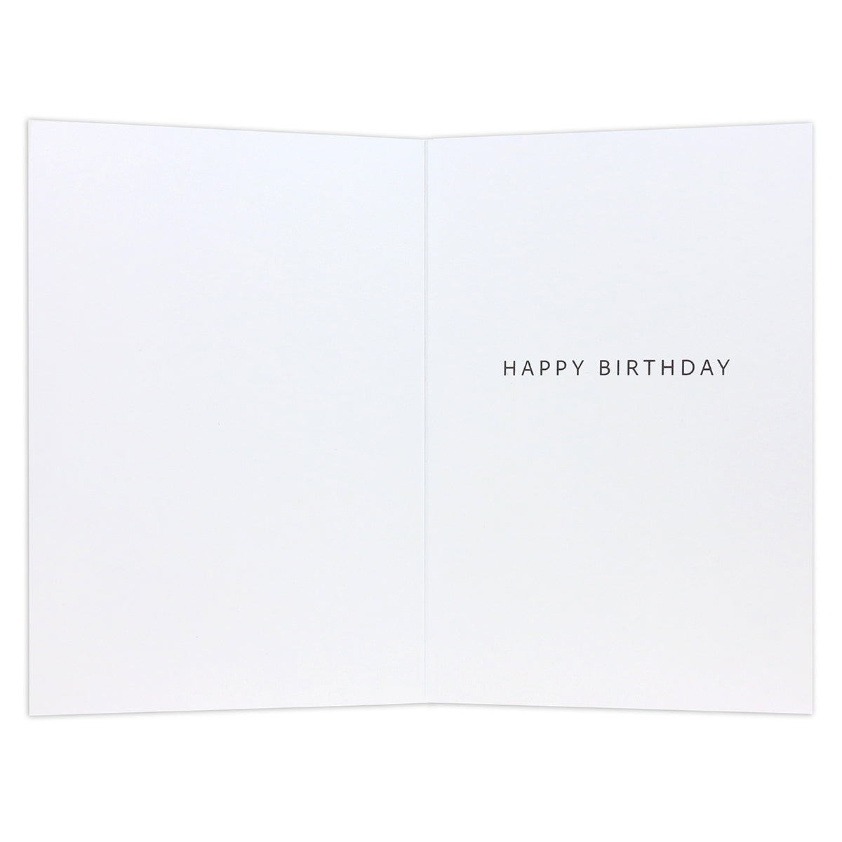 Connections from Hallmark Birthday Card - Especially For You, inside view, featuring ‘HAPPY BIRTHDAY’ message in modern typography.