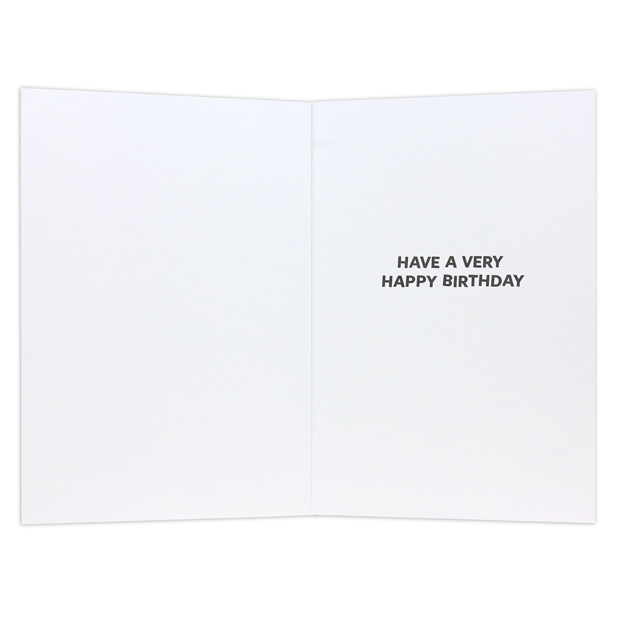 Connections from Hallmark Birthday Card - Nothing Short Of Fantastic, inside view, features black text saying 'HAVE A VERY HAPPY BIRTHDAY' against white background.
