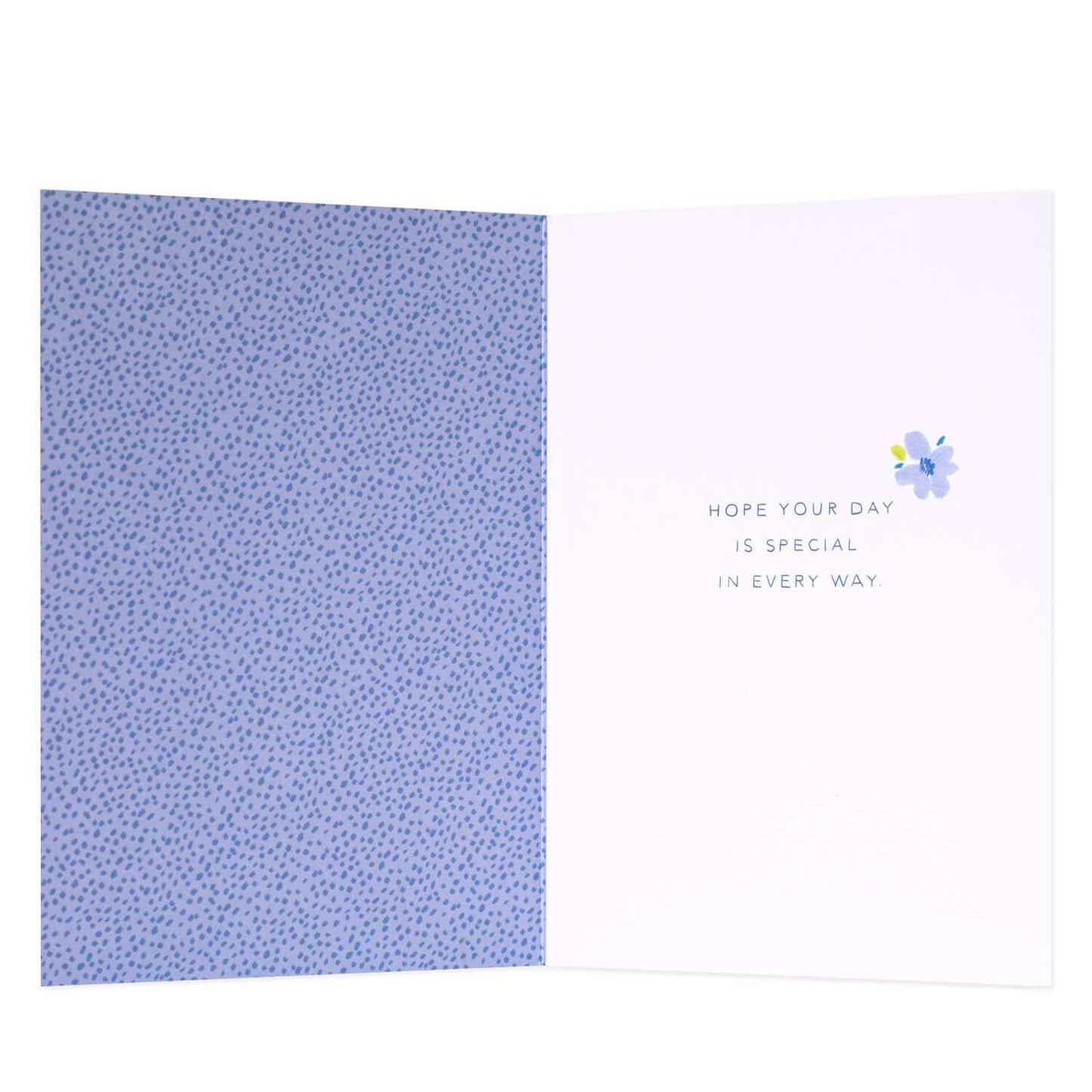 Connections from Hallmark Sister Birthday Card - Illustrative Flowers inside view featuring light blue pattern and printed message, AU made, 17.3cm high