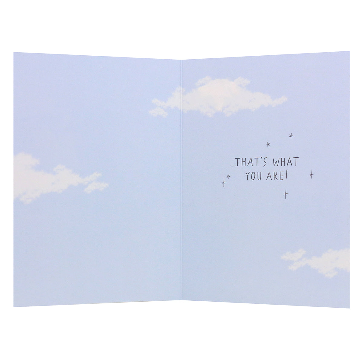 Connections from Hallmark Birthday Card For Daughter - Magical & Amazing inner design featuring light blue clouds and the message "that's what you are".