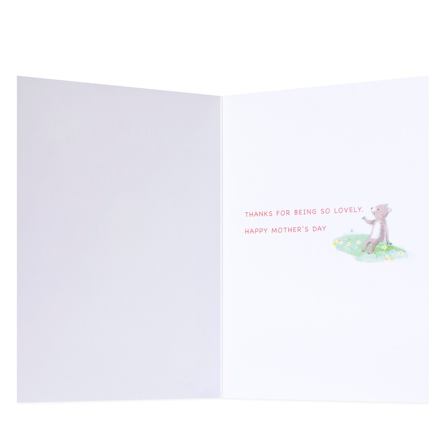 Hallmark Mother's Day Card - To a special Mother. You make every day brighter.