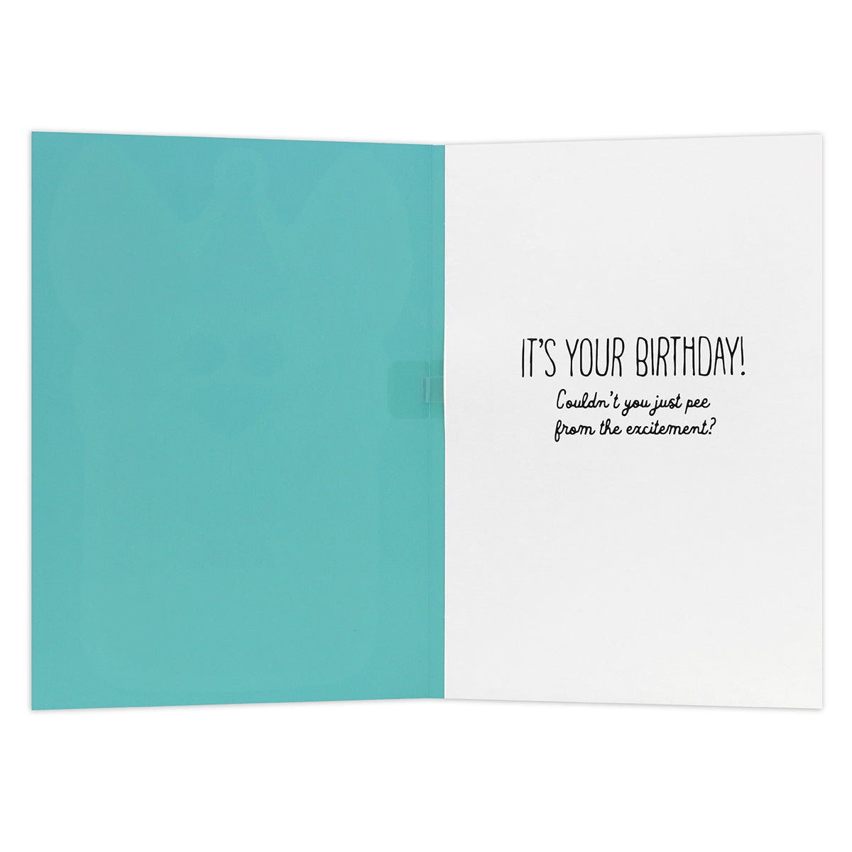 Hallmark Interactive Sound Card - Barking Birthday Song, inside view featuring teal and white design, humorous birthday message.