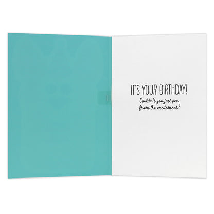 Hallmark Interactive Sound Card - Barking Birthday Song, inside view featuring teal and white design, humorous birthday message.
