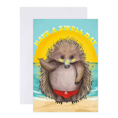 Connections from Hallmark All Occasions Card - Echidna Have A Swell Day