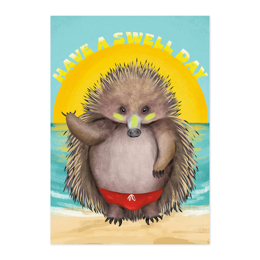 Connections from Hallmark All Occasions Card - Echidna Have A Swell Day