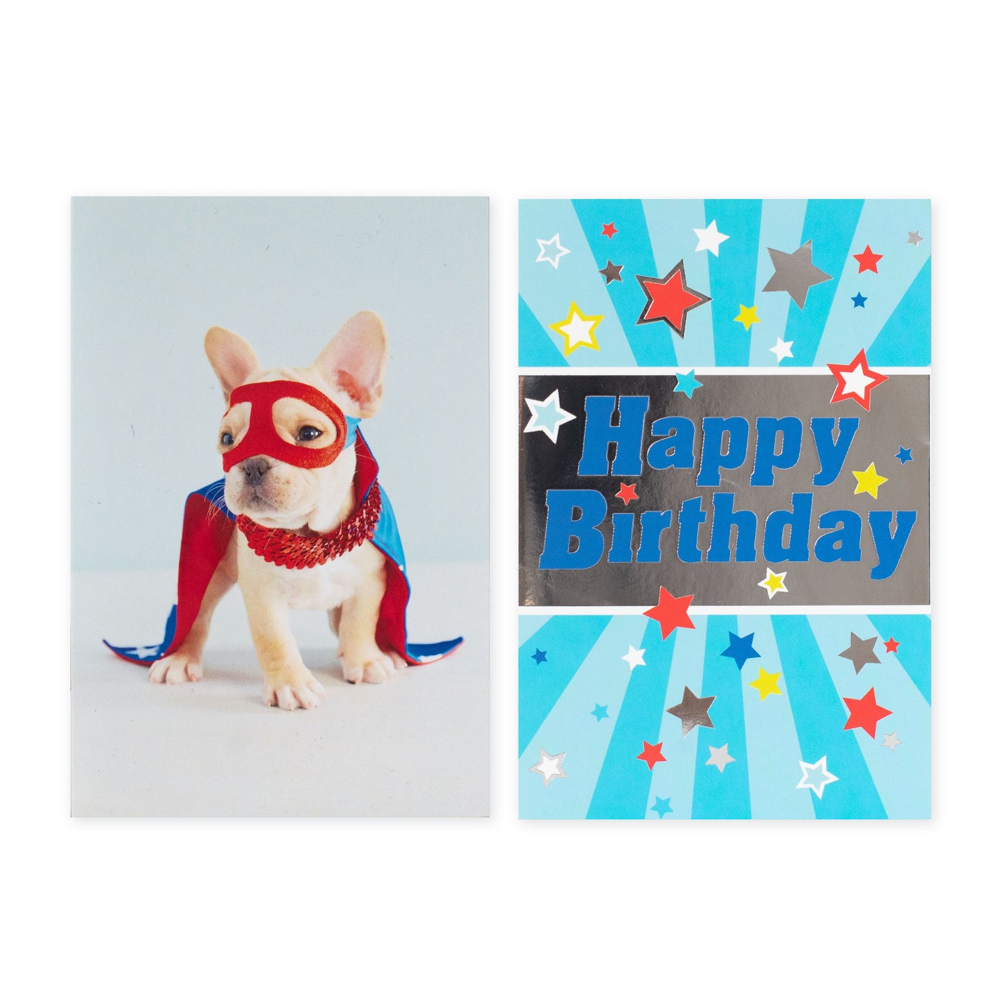 Hallmark Multipack of 12 Birthday Cards - 2 designs, Super Dog and Happy Birthday