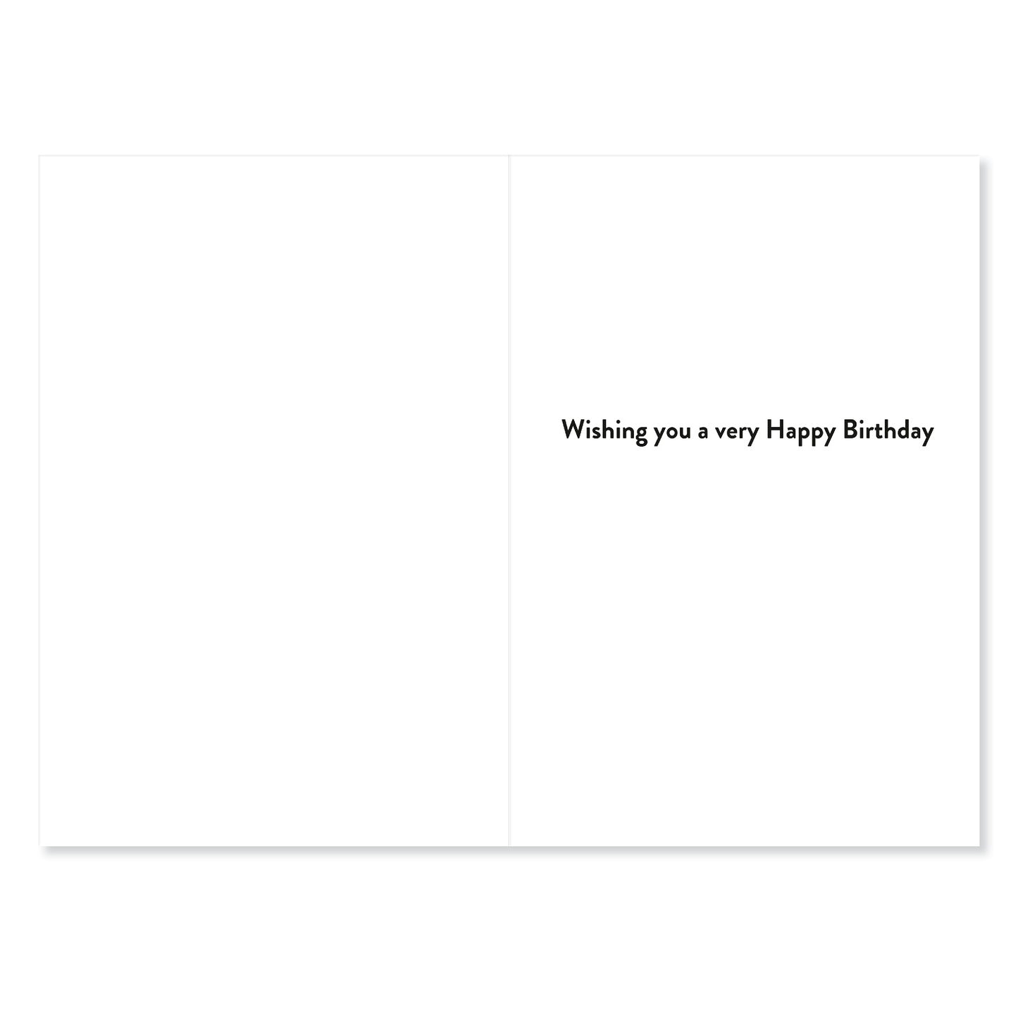 Connections from Hallmark Age 8 Birthday Card