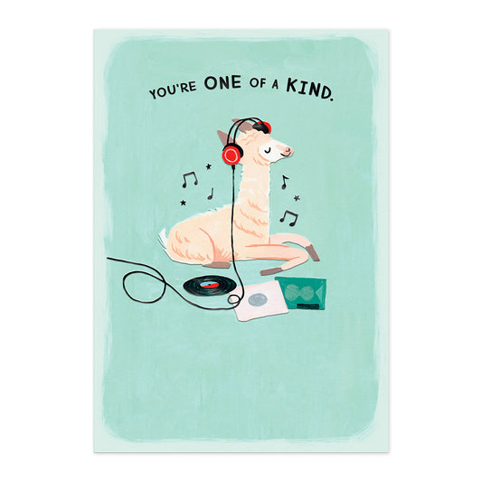 Connections from Hallmark Birthday Card - Llama You're One Of a Kind